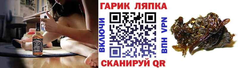 закладки  Ветлуга  ГАШИШ Premium 