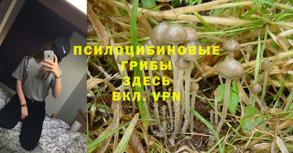 наркотики Богданович