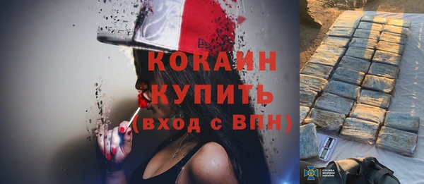молекула духа Бронницы