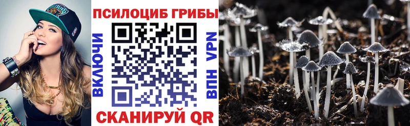 закладки  Ветлуга  Галлюциногенные грибы Psilocybine cubensis 
